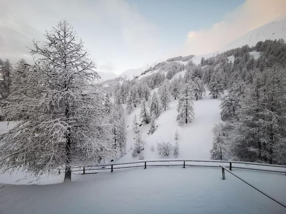 Cosy Apart, Ski Snow Surf, Foux D'Allos Avec Vue Esterno foto